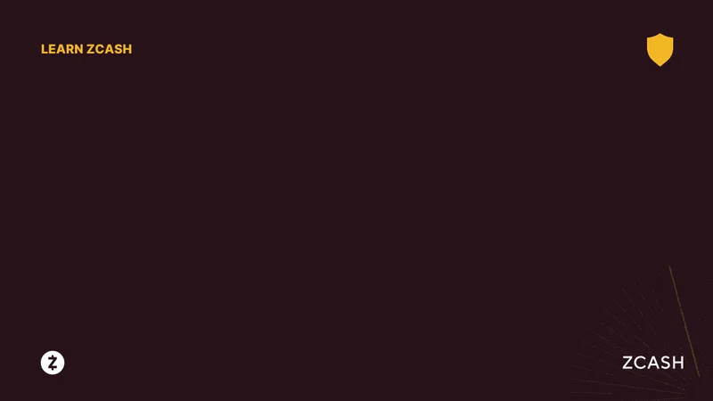 Zcash Under the Microscope: Price Predictions vs. Bitcoin Concerns