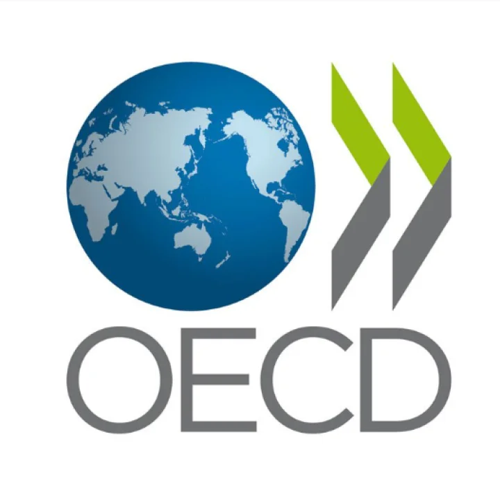OECD Outlook 2025: Just More Hot Air
